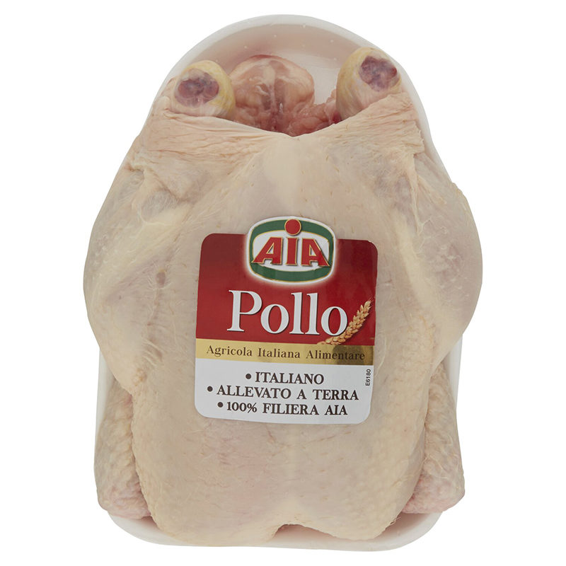 Busto di Pollo aia