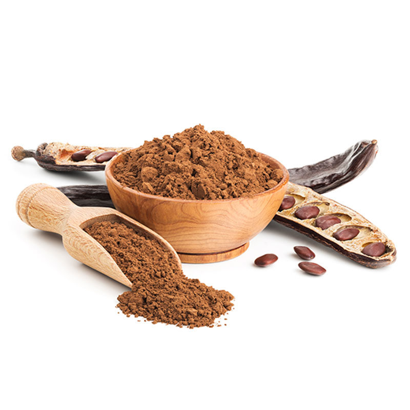 Cacao Amaro Solubile 1 kg GIUSO