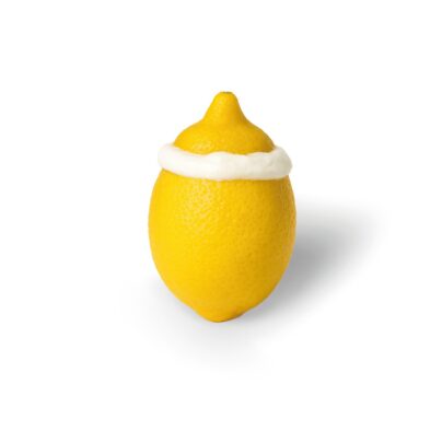 Lemon Sorbet Sammontana